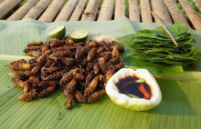 Những món ăn từ côn trùng của Việt Nam mà không phải ai cũng dám thử