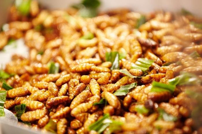 Những món ăn từ côn trùng của Việt Nam mà không phải ai cũng dám thử Ảnh 4