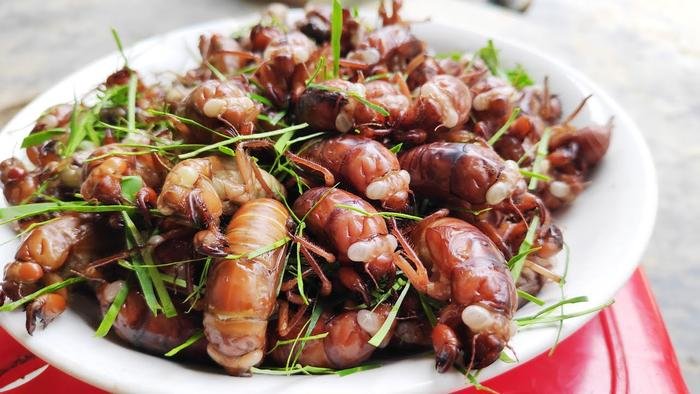 Những món ăn từ côn trùng của Việt Nam mà không phải ai cũng dám thử Ảnh 7