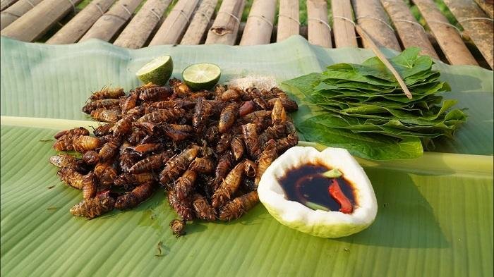 Những món ăn từ côn trùng của Việt Nam mà không phải ai cũng dám thử Ảnh 8